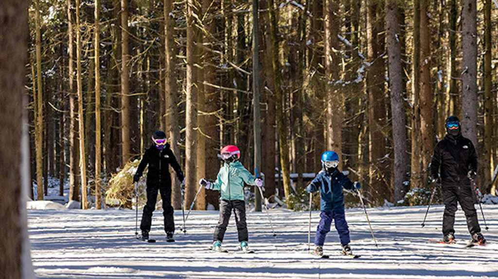 A family of four skiing on a trail surrounded by trees. 